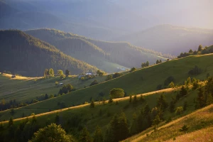 Certyfikat Ecovadis dla Budownictwa: Klucz do Zrównoważonego Rozwoju w Branży