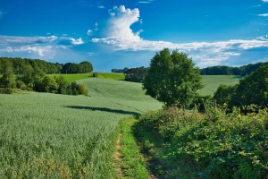 Materace 160x200: Idealne rozwiązanie dla komfortowego snu